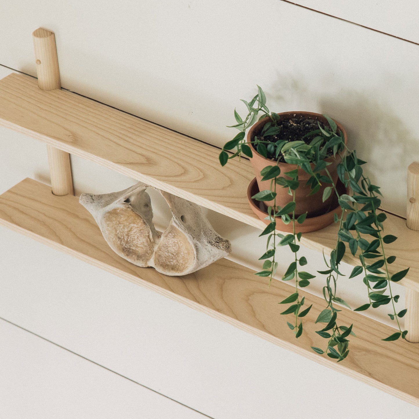 Wooden Wall Tiered Shelving